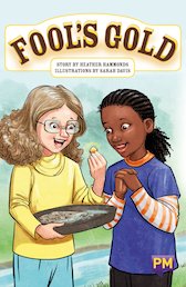 Fool's Gold (PM Guided Reading Fiction) Level 27