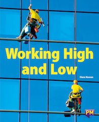 Working High and Low (PM Guided Reading Non-fiction) Level 27