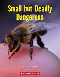 Connectors Emerald: Small But Deadly Dangerous (6 Copies)