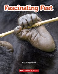 Connectors Silver: Fascinating Feet (6 Copies)