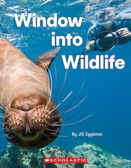 Connectors Silver: Window into Wildlife (6 Copies)