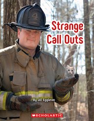 Connectors Silver: Strange Call Outs (6 Copies)