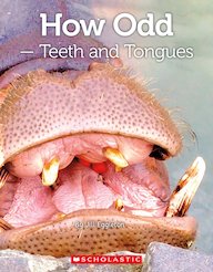 Connectors Silver: How Odd - Teeth and Tongues (6 Copies)