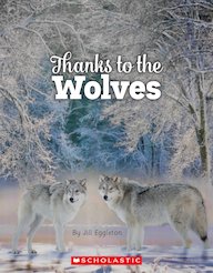 Connectors Sapphire: Thanks to the Wolves (6 Copies)