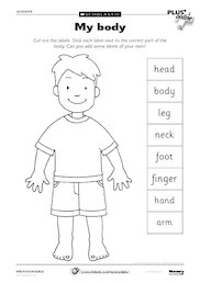 My body