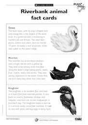 Riverbank fact cards