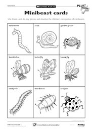 Minibeast cards