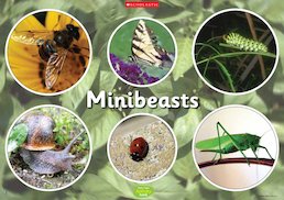 Minibeasts - poster