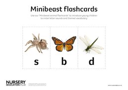 Minibeast flashcards