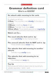 Grammar safari park - adverbs and pronouns