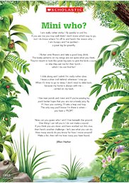 'Mini who?' - Minibeasts poem