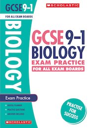 The GCSE 9-1 Practice And Revision Series - Scholastic Shop