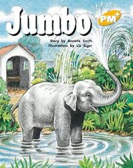 PM Yellow: Guided Reading Pack (PM Plus Storybooks) Level 8 (60 books)