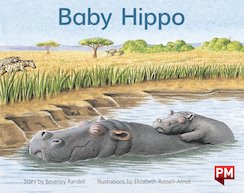 Baby Hippo (PM Storybooks) Level 6