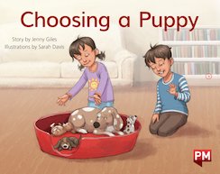 Choosing a Puppy (PM Storybooks) Level 7
