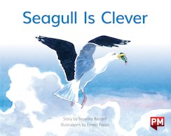 Seagull is Clever (PM Storybooks) Level 8