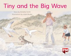 Tiny and the Big Wave (PM Storybooks) Level 8