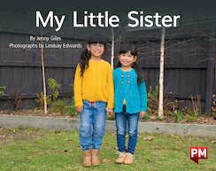 My Little Sister (PM Non-fiction) Levels 8, 9
