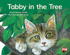 Tabby in the Tree (PM Storybooks) Level 10
