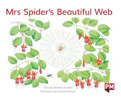 PM Green: Mrs Spider's Beautiful Web (PM Storybooks) Level 13 x 6
