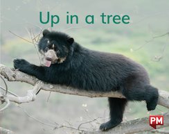 Up In A Tree (PM) Level 2