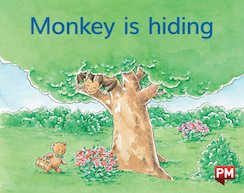 PM Magenta: Monkey is Hiding (PM) Level 2/3 x6