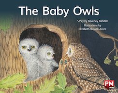 The Baby Owls (PM Storybooks) Level 4