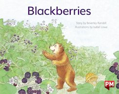 Blackberries (PM Storybooks) Level 6