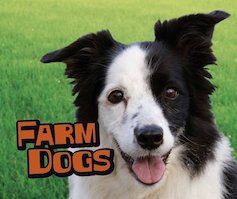 Pebble Plus: Farm Animals - Farm Dogs