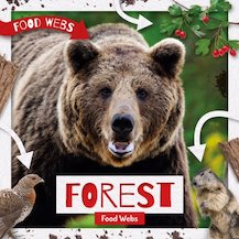 Food Webs: Forest