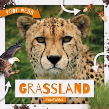 Food Webs: Grassland