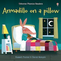 Armadillo on a Pillow