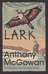 Barrington Stoke Teen: Lark
