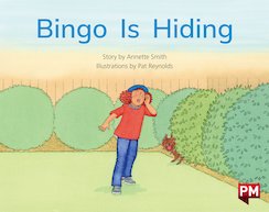 PM Red: Bingo is Hiding (PM Storybooks) Level 5 x6