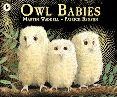 Owl Babies x 6