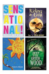 Pie Corbett's Poetry Spine: Year 4 4 Book Set