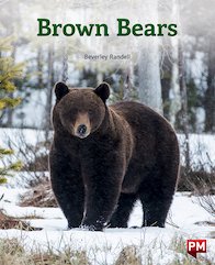 Brown Bears (PM Non-fiction) Levels 18/19
