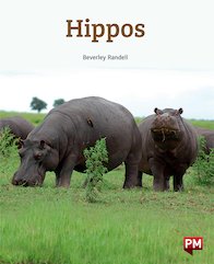 Hippos (PM Non-fiction) Levels 18/19