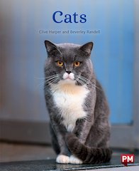 PM Orange: Cats (PM Non-fiction) Level 15/16 x 6