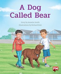 A Dog Called Bear (PM Storybooks) Level 19