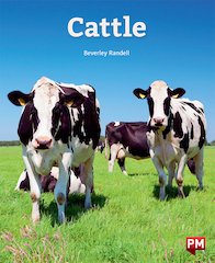 Cattle (PM Non-fiction) Levels 20/21 x 6