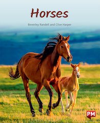 Horses (PM Non-fiction) Levels 20/21 x 6