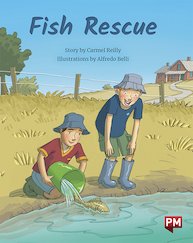 Fish Rescue (PM Storybooks) Level 21