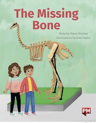 The Missing Bone (PM Storybooks) Level 22