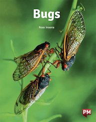 Bugs (PM Non-fiction) Level 22