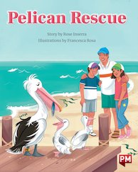 Pelican Rescue (PM Storybooks) Level 24