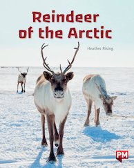 Guided Reading Pack (PM Non-fiction) Level 23/24 - Animal Facts: Polar (36 books)