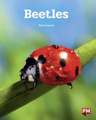 Beetles (PM Non-fiction) Level 22 x 6
