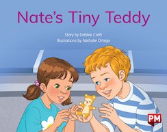 Nate's Tiny Teddy (PM Storybooks) Level 8