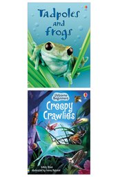Usborne Beginners Pair B